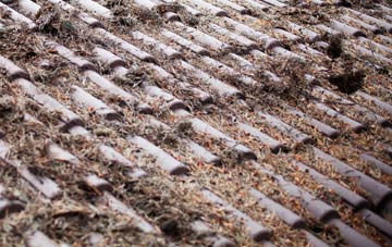 Troqueer roof cleaning companies