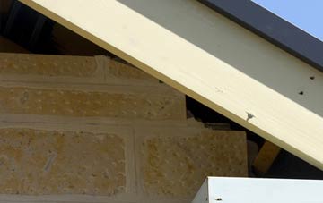 soffit repair Troqueer