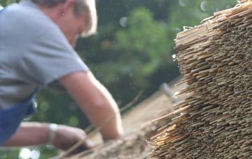 professional Troqueer thatchers