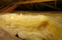 Troqueer pitch roof insulation